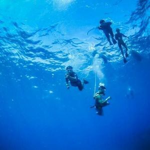 Meet your Posher, Miguel